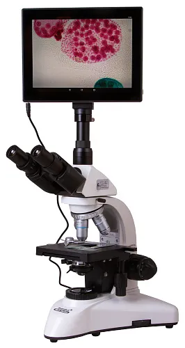 Fotografie Levenhuk-Digital-Trinokularmikroskop MED D25T LCD