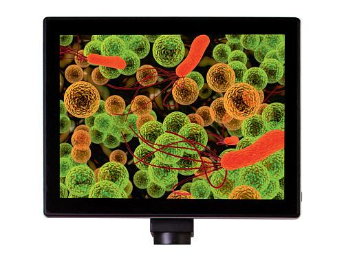 Fotografie Levenhuk MED 5M Mikroskopdigitalkamera mit 23,9-cm-LCD-Bildschirm