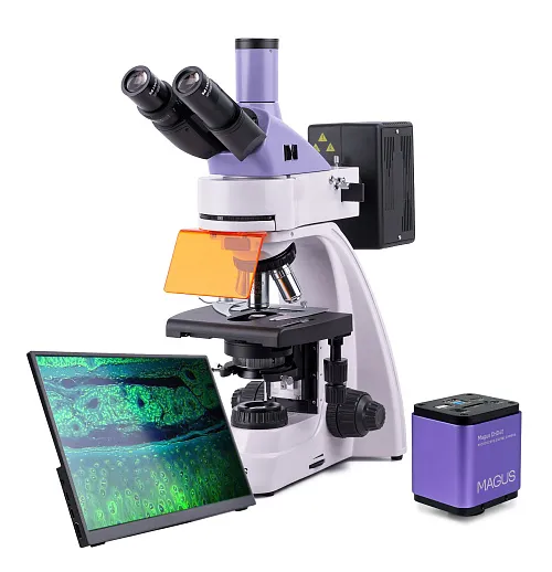 Foto MAGUS Lum D400 LCD Digitales Fluoreszenzmikroskop