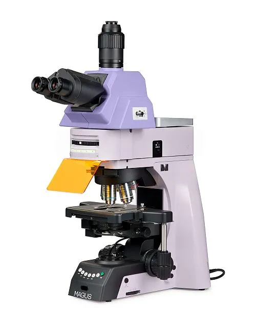 Abbildung MAGUS Lum 490L Fluoreszenzmikroskop,  1