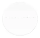 Abbildung MAGUS CSS1 Kalibrierungsobjektträger für Stereomikroskope (0,1)