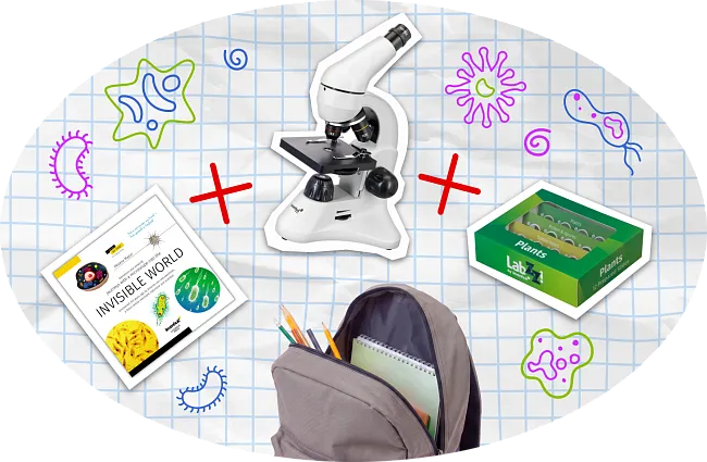 Zurück zur Schule Set #1