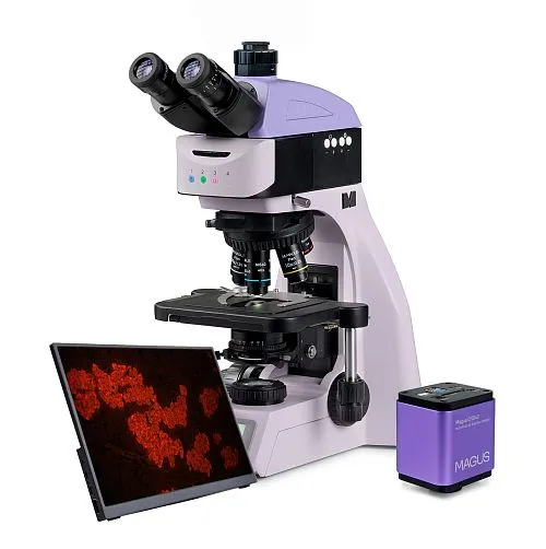 Bild MAGUS Lum D460L LCD Fluoreszenz-Digitalmikroskop,  1