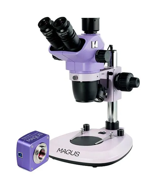 Abbildung MAGUS Stereo D8T PLUS Digitales Stereomikroskop