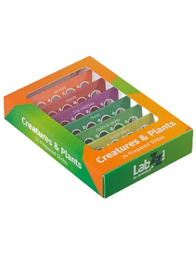 Abbildung Levenhuk LabZZ CP24 – Präpariertes Lebewesen- und Pflanzen-Probenträgerset