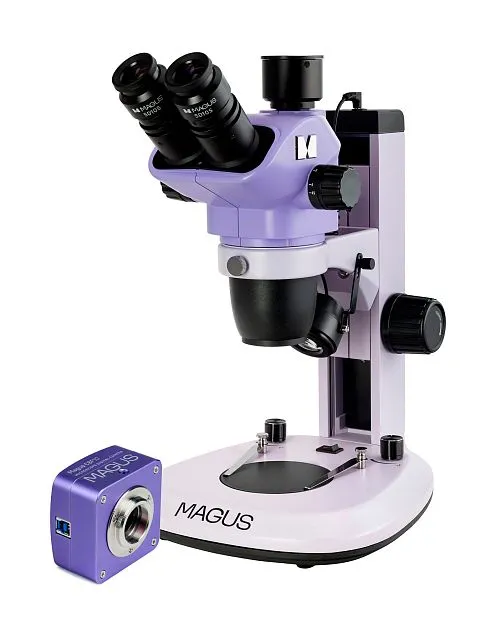 Bild MAGUS Stereo D7T BASE Digitales Stereomikroskop