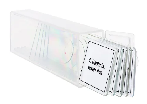 Abbildung Mikropräparate-Set Levenhuk Discovery Prof DPS 5. „Leben in einem Wassertropfen“,  5