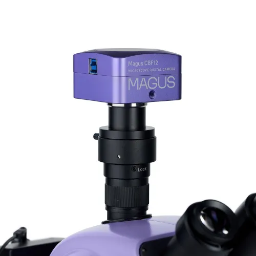 Bild MAGUS Stereo D9T Digitales Stereomikroskop,  22