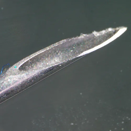 Abbildung MAGUS Stereo 9T Stereomikroskop,  22