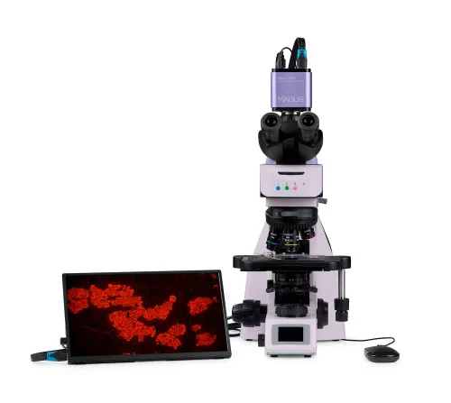 Bild MAGUS Lum D460L LCD Fluoreszenz-Digitalmikroskop,  10