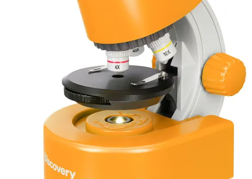 Bild Levenhuk Discovery Micro Mikroskope mit Buch,  13