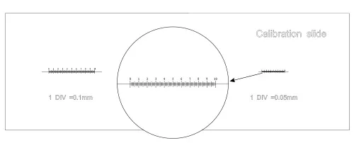 Fotografie MAGUS CS3 Kalibrierungsobjektträger (0,01/0,05/0,1),  6