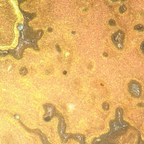 Foto MAGUS Metal V790 DIC Metallurgisches Inverses Mikroskop,  21