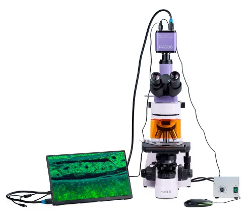 Abbildung MAGUS Lum D400L LCD Digitales Fluoreszenzmikroskop,  6
