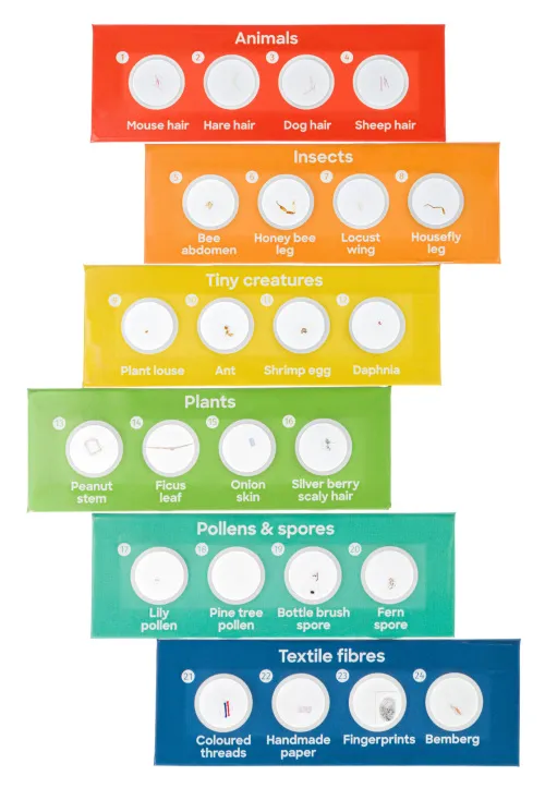 Fotografie Levenhuk Discovery Flora & Fauna – Präpariertes Pflanzen- und Lebewesen-Probenträgerset, 24 Stück,  3