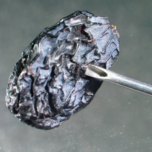 Bild MAGUS Stereo A6 Stereomikroskop,  14