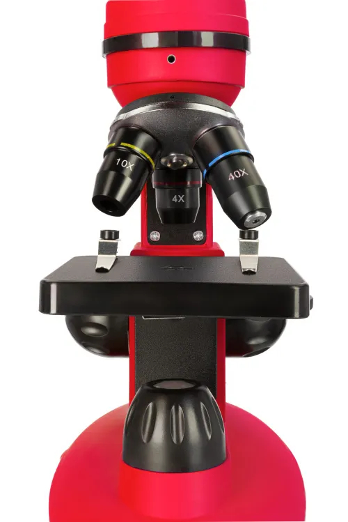 Bild Levenhuk Discovery Nano Mikroskop mit Buch,  11