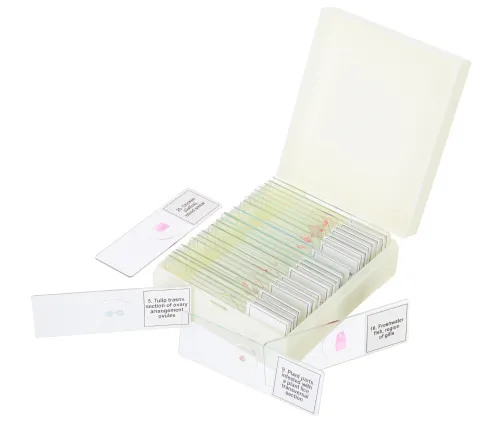 Abbildung Mikropräparate-Set Levenhuk Discovery Prof DPS 25. „Biologie, Vögel, etc.“,  5