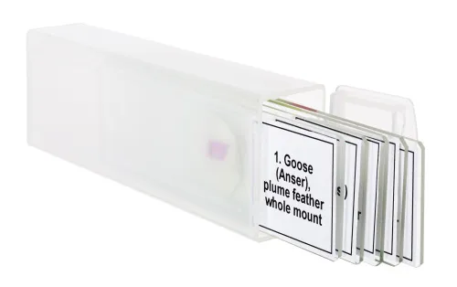 Fotografie Mikropräparate-Set Levenhuk Discovery Prof DPS 5. „Vögel“,  5