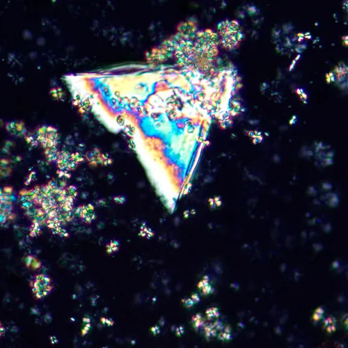 Abbildung MAGUS Pol 850 Polarisationsmikroskop,  21