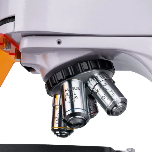 Abbildung MAGUS Lum 400L Fluoreszenzmikroskop,  8