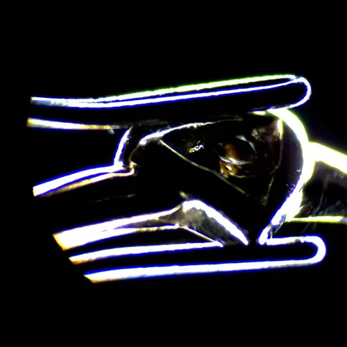 Abbildung MAGUS Stereo D7T PLUS Digitales Stereomikroskop,  6