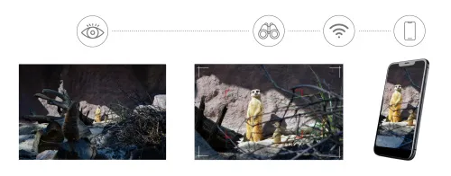 Foto Levenhuk Kelvin Snap ED 8x42 Digitales Fotomonokular,  5