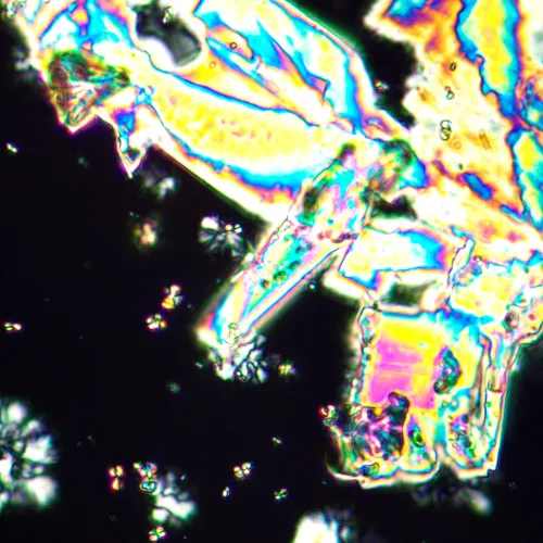 Fotografie MAGUS Pol 890 Polarisationsmikroskop,  25