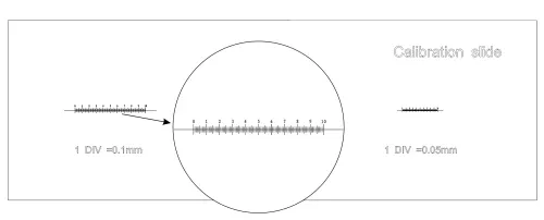 Fotografie MAGUS CS3 Kalibrierungsobjektträger (0,01/0,05/0,1),  4
