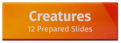 Fotografie Levenhuk LabZZ C12 – Präpariertes Lebewesen-Probenträgerset,  8