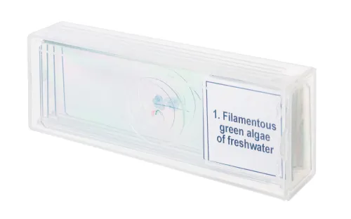 Foto Mikropräparate-Set Levenhuk Discovery Prof DPS 5. „Biologie“,  4