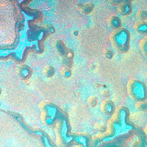 Foto MAGUS Metal V790 DIC Metallurgisches Inverses Mikroskop,  20