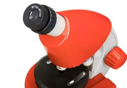 Bild Levenhuk Discovery Micro Mikroskope mit Buch,  11