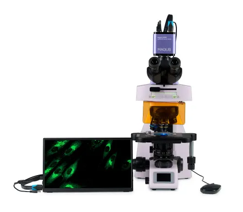 Fotografie MAGUS Lum D450L LCD Fluoreszenz-Digitalmikroskop,  9