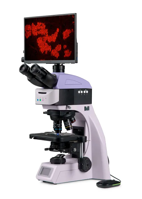 Bild MAGUS Lum D460L LCD Fluoreszenz-Digitalmikroskop,  2