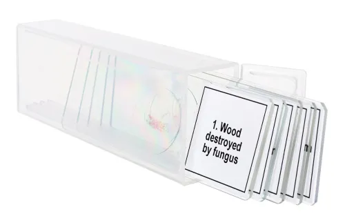 Bild Mikropräparate-Set Levenhuk Discovery Prof DPS 5. „Mutationen“,  5