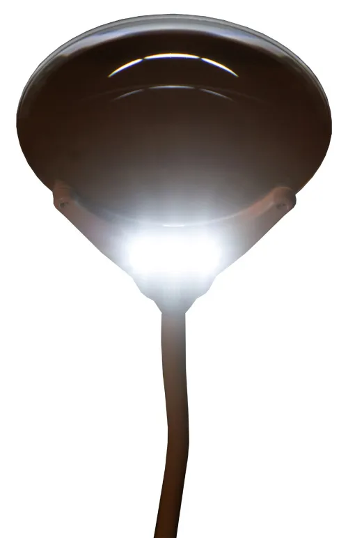 Foto Levenhuk Zeno Lamp ZL7 Lupe,  11