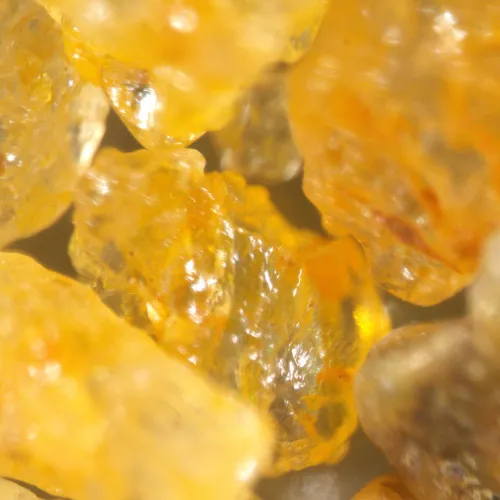 Bild MAGUS Stereo A18T Stereomikroskop,  7