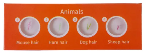 Fotografie Levenhuk LabZZ C12 – Präpariertes Lebewesen-Probenträgerset,  2