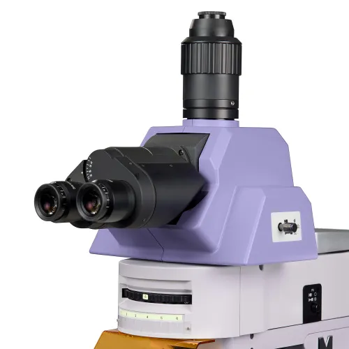 Abbildung MAGUS Lum 490L Fluoreszenzmikroskop,  9