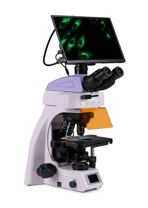Fotografie MAGUS Lum D450L LCD Fluoreszenz-Digitalmikroskop,  3