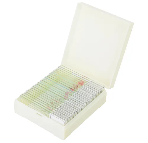 Abbildung Mikropräparate-Set Levenhuk Discovery Prof DPS 25. „Biologie, Vögel, etc.“,  7