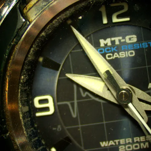 Bild MAGUS Stereo D8T LCD BASE Digitales Stereomikroskop,  25