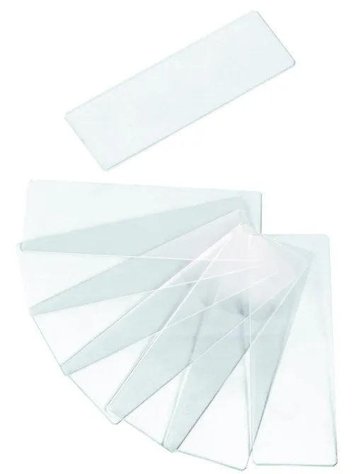 Abbildung Levenhuk-Objektträger G50 2H, zwei Vertiefungen, leer, 50 Stück,  3