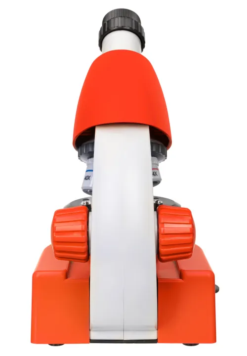 Bild Levenhuk Discovery Micro Mikroskope mit Buch,  10