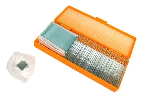 Bild Levenhuk N38 NG Objektträger-Set mit vorbereiteten Proben,  3