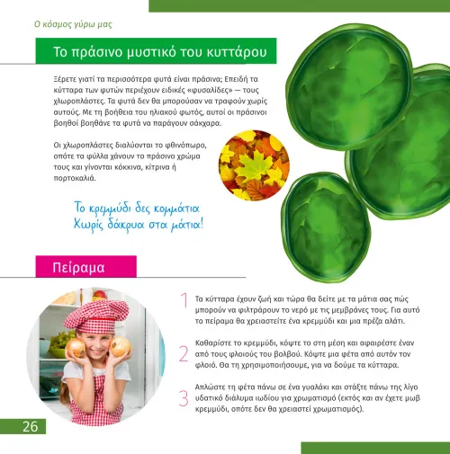 Abbildung Levenhuk Discovery Atto Polar-Mikroskop mit Buch,  5