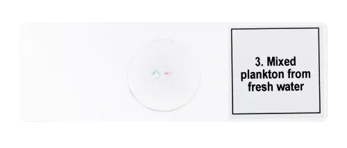 Abbildung Mikropräparate-Set Levenhuk Discovery Prof DPS 5. „Leben in einem Wassertropfen“,  7