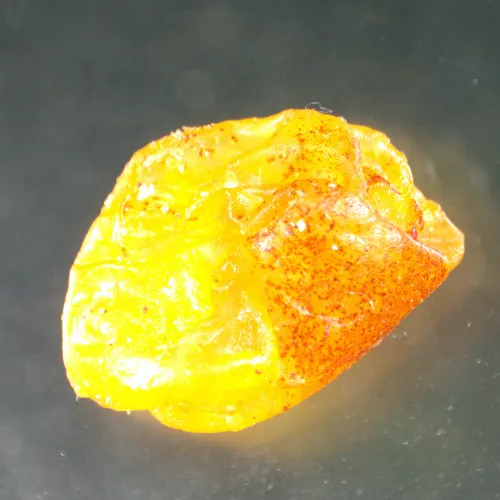 Foto MAGUS Stereo A8 Stereomikroskop,  15