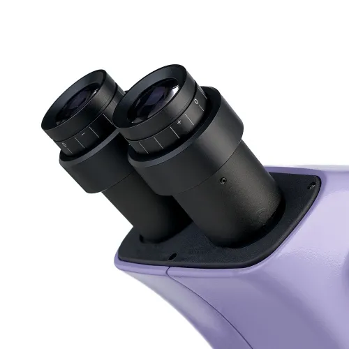 Bild MAGUS Stereo D9T Digitales Stereomikroskop,  10